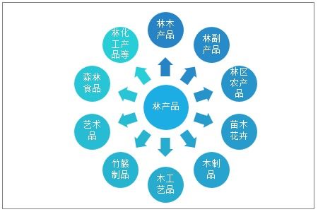 2021-2027年中國林產品行業市場研究分析及投資戰略規劃報告